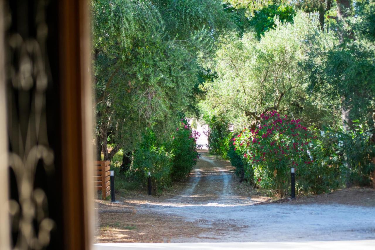 Doliva Estate Laganas