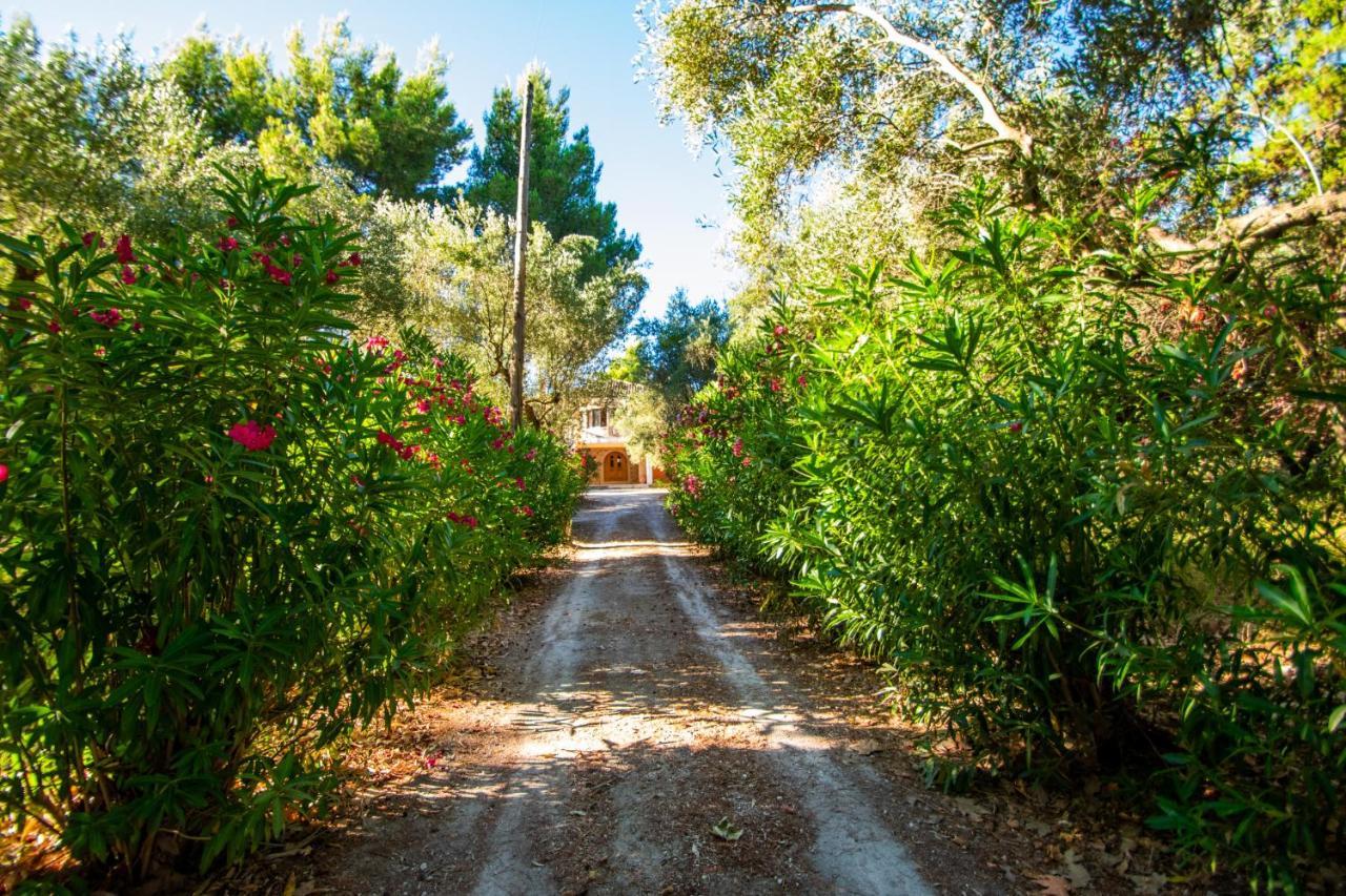 Doliva Estate Vila